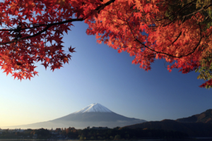 Mount Fuji Autumn Maple Japan1639212022 300x200 - Mount Fuji Autumn Maple Japan - Mount, Monaco, Maple, Japan, Fuji, Autumn